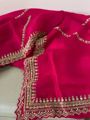 Designer Pure Organza Saree with sequence work