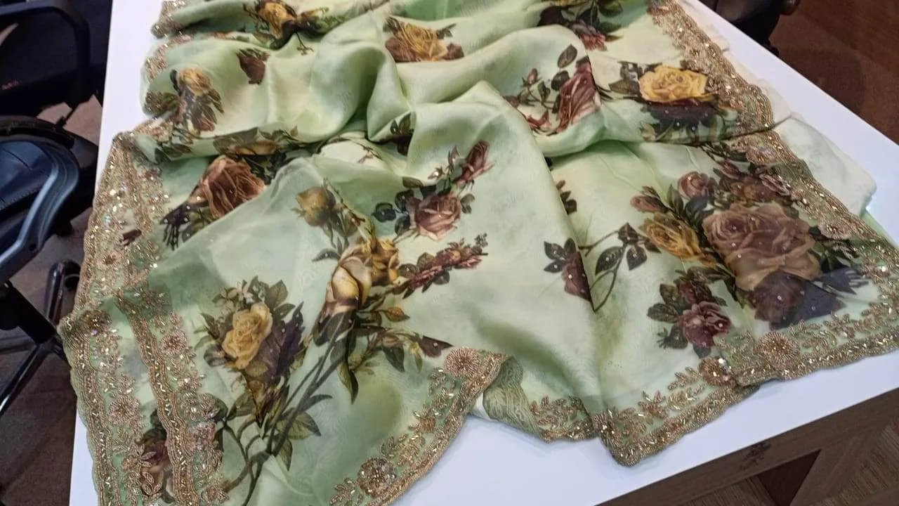 Designer Pure Organza Saree