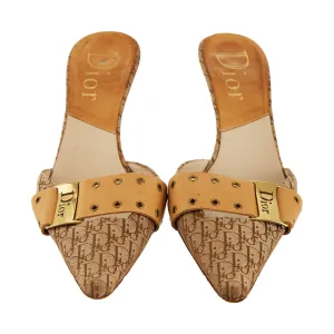 Dior Brown Logo Grommet Heels