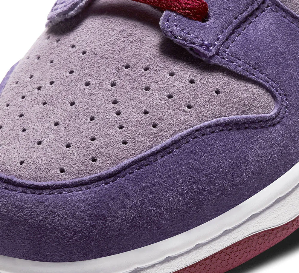 Nike Dunk Low Special Edition