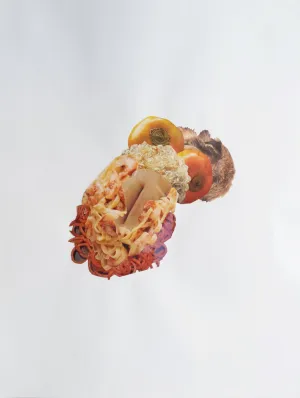 Paper Dreams : Nicole Rose Gelormino : Baby Mouth