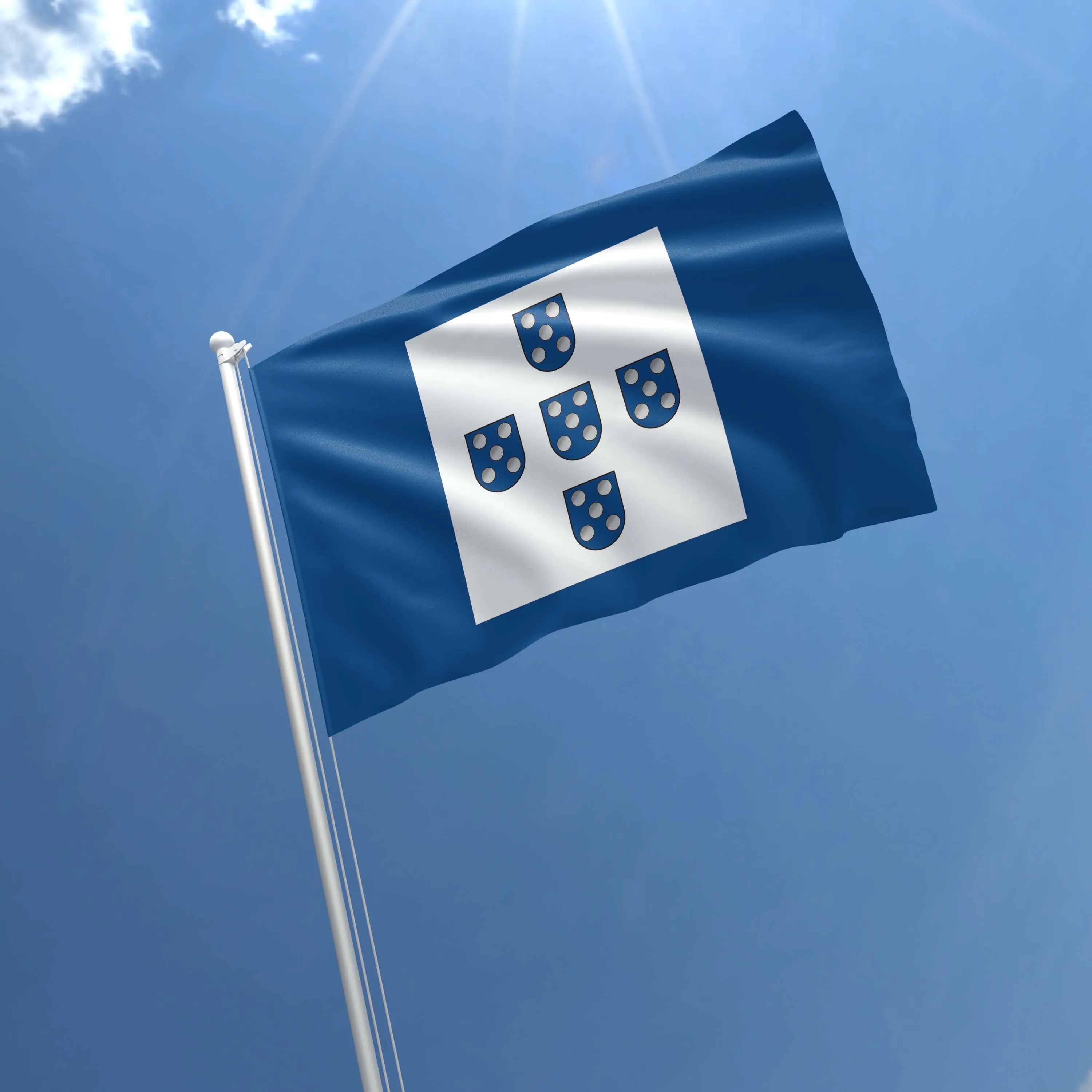 Portugal National Union Estado Novo Regime Flag Banner