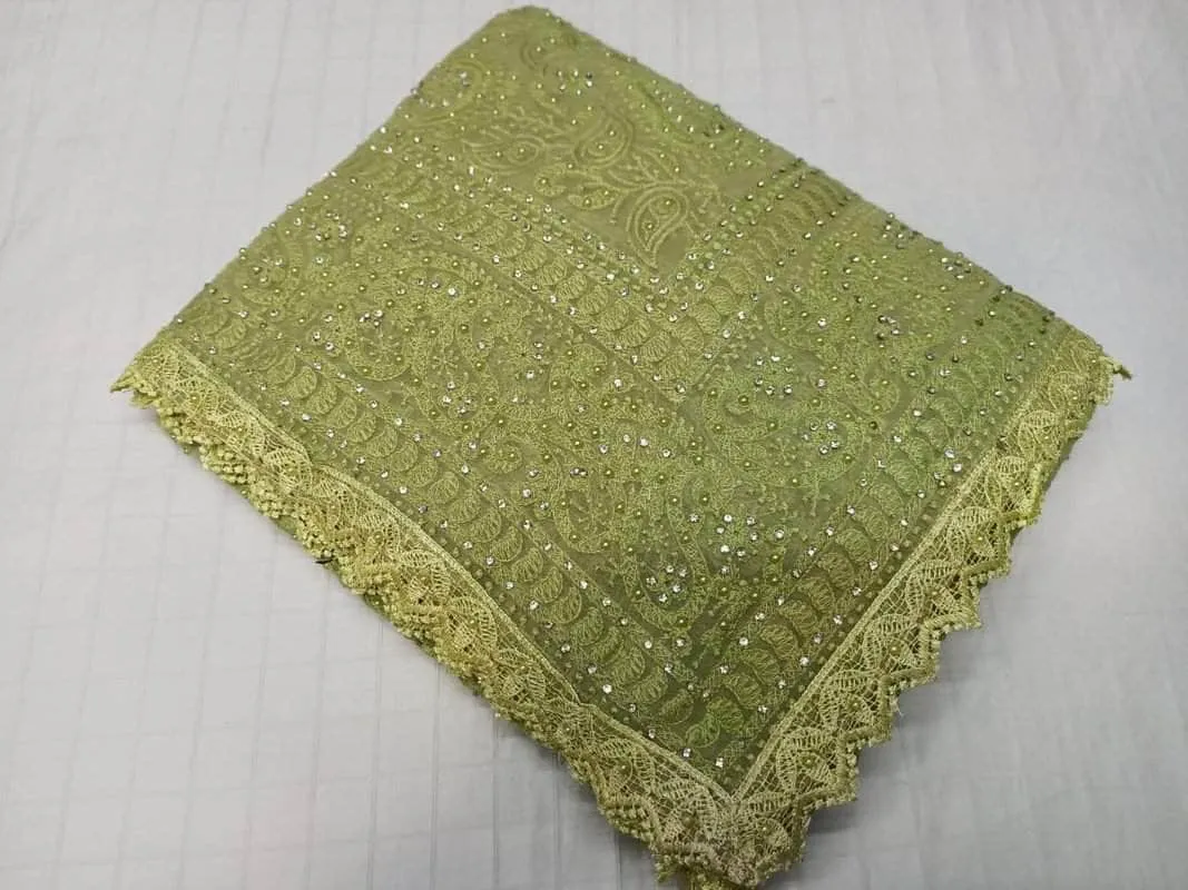 Pure Georgette Chikankari Saree with Lukhnowi Work