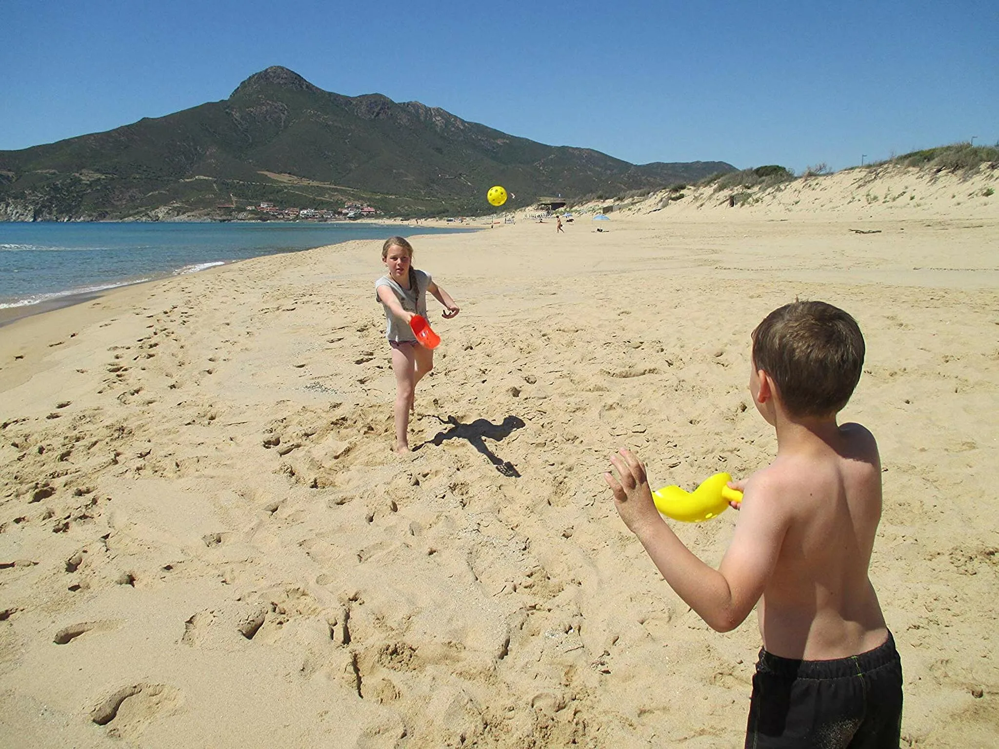 Scoop Ball Outdoor Game